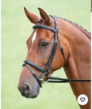 Shires Salisbury Bodenham