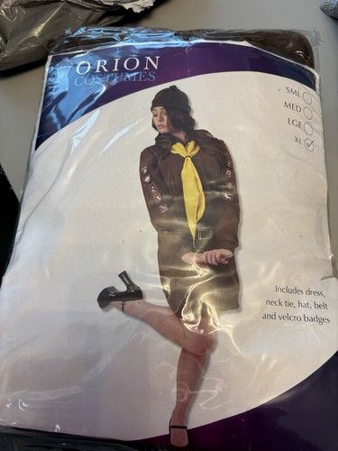 Brownie fancy dress costume - fancy,
