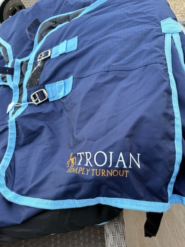 Trojan gallop equestrian - by,