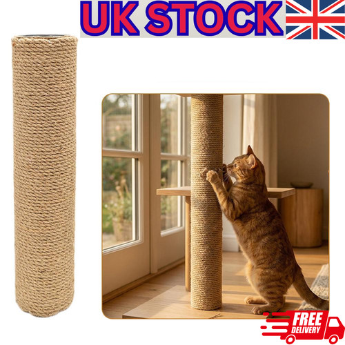 50cm tall large cat - 50cm,