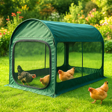 Rabbit guinea pig chicken - chicken, duck