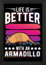 Armadillo Gift Framed Wall Art