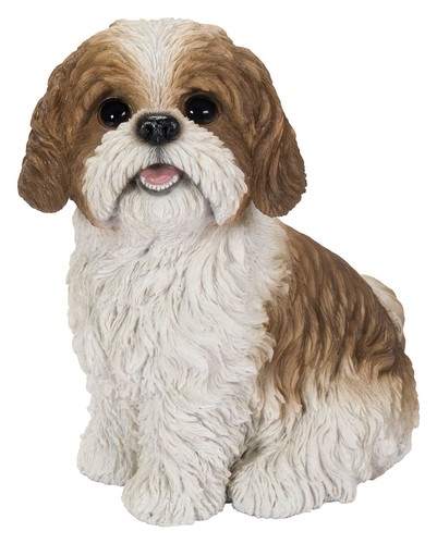 Vivid arts shih tzu brown - vivid,