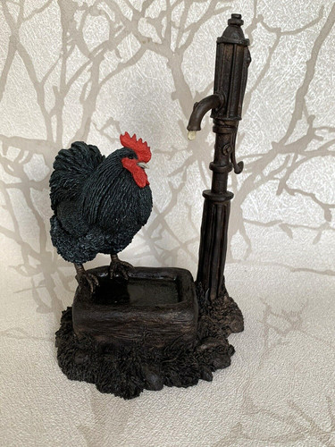 Black cochin cockerel water - black,