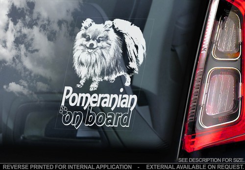 Pomeranian car window - pomeranian,