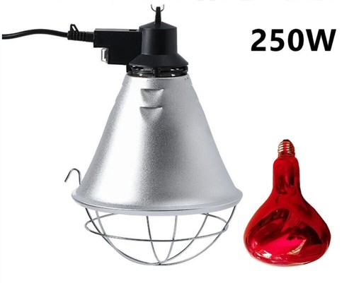 Infrared heat lamp poultry - lamp,