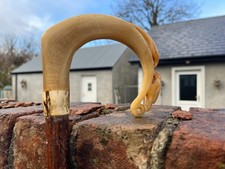 Antique Irish  walking stick with carved horn handle, 87.5 cm high.