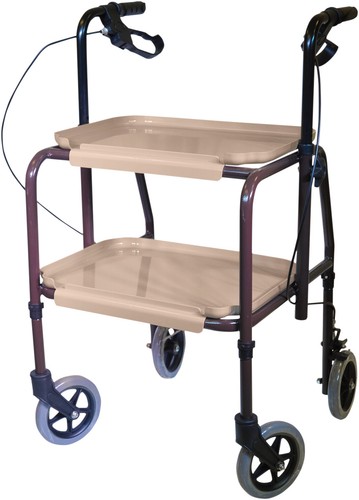 Adjustable mobility trolley - adjustable,