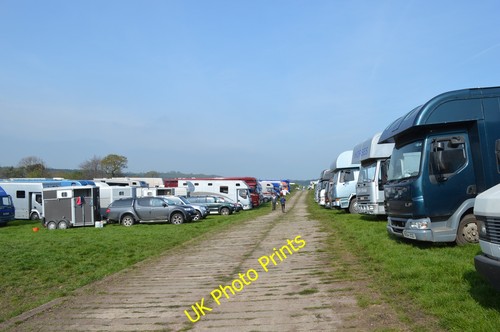 Photo 6x4 kelsall hill horse - 6x4,