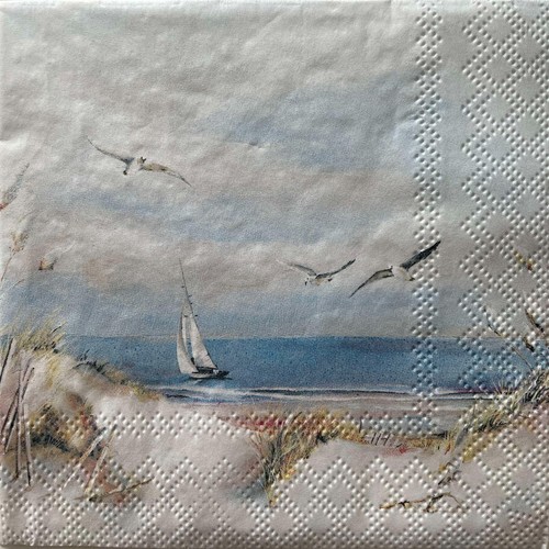 Cocktail paper napkins - napkins, for