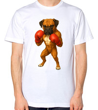 Boxer Dog Wearing Boxing