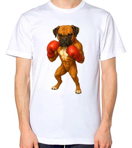 Boxer dog wearing - dog,
