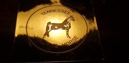 Tennessee walking horse - tennessee,