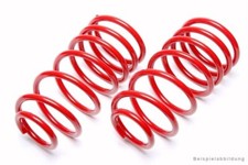 TA Technix Springs Lowered