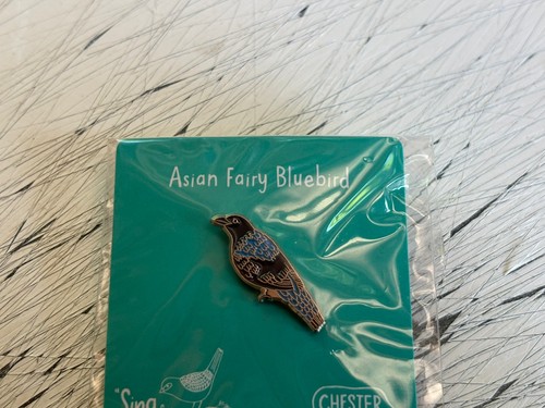 Rspb interest asian fairy blue - rspb,