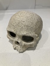 Swim-through Skull Ornament