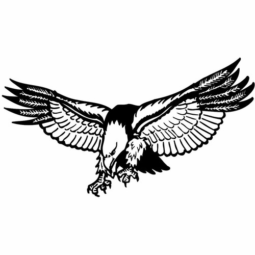 Sticker eagle baldhead - eagle,