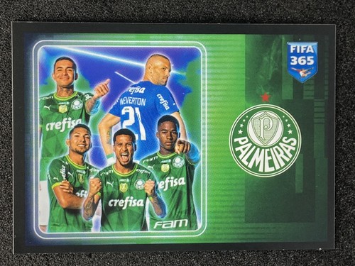 Club identity palmeiras - se,