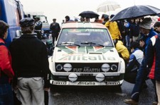 Maurizio Verini Arnaldo