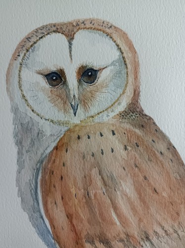 Signed mounted watercolour - signed,