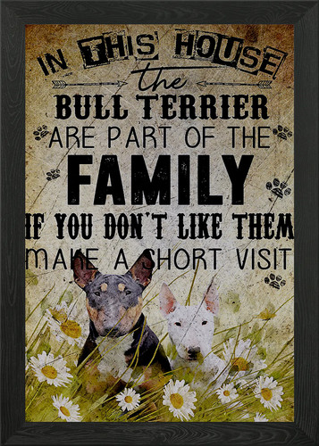 Bull terrier framed - terrier, wall