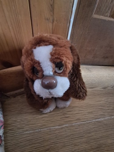Baxter dog teddy - dog,