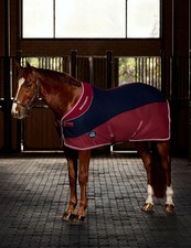 Weatherbeeta Thermo-Air Horse