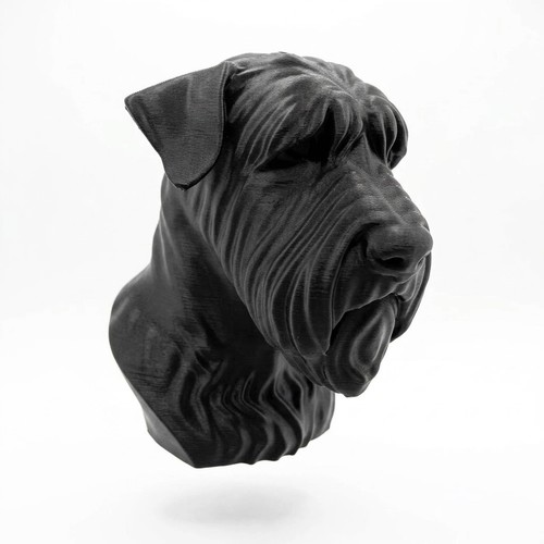 Soft coated wheaten terrier - wheaten,
