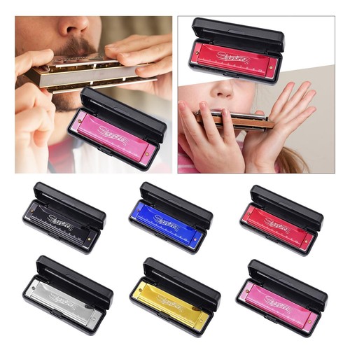 Portable educational mouth - portable,