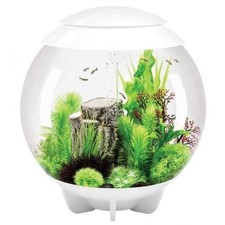 biOrb HALO 60 MCR white