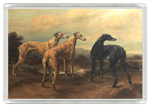 Greyhound dogs dog fridge - dogs,