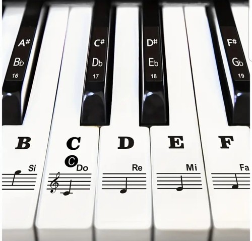 Piano key sticker electric - piano,