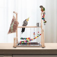 Parrot Playground Bird Play