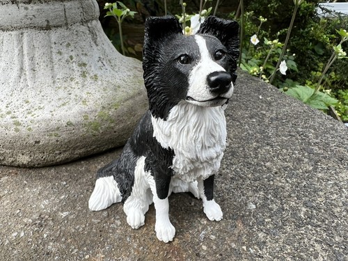 Border fine arts dogs - -, &