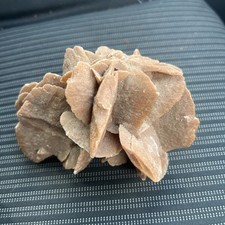 Large Desert Rose Selenite