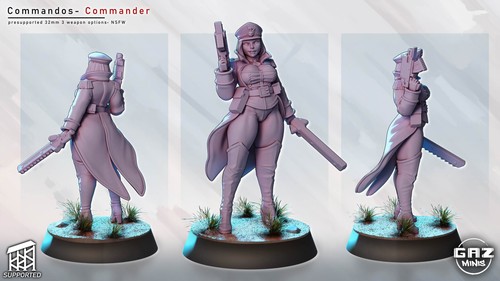 Commissar commander fantasy - commissar,