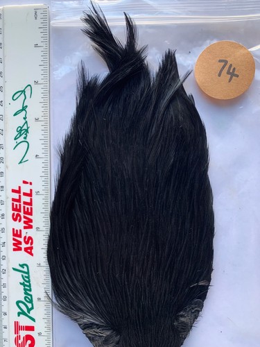 Fly tying cock cape top