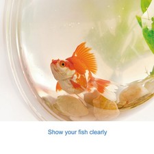 (Diameter 23Cm Type 2