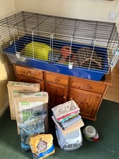 Rabbit, Guinea Pig, Small