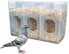 Automatic Pigeon Bird Feeder