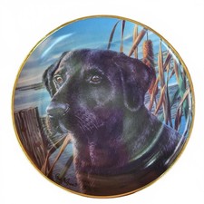 Nigel Hemming Limited Edition