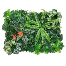 Betta Terra Boston Fern Living