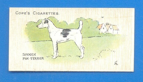 Dogs the world - the,