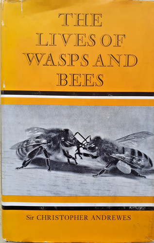 The lives wasps and - the, of