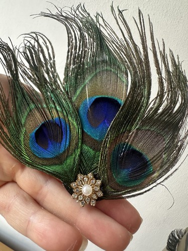 Peacock feather fascinator - peacock,
