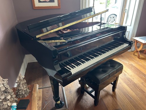 Brodmann baby grand piano - baby,