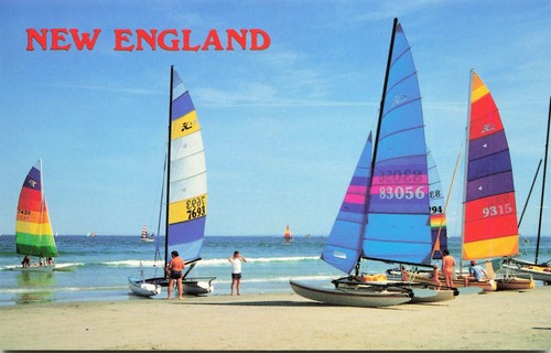 New england hobie cat - england, regatta
