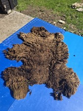Raw Unwashed Rare Sheep Fleece
