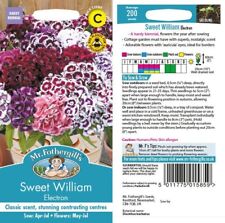 Mr fothergills Sweet William
