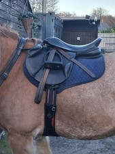 Cob saddle Fiona Cork Jump Plus Black Size W 17" top condition with cover